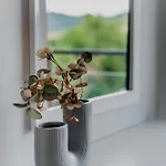 Center Wierch 6 Apartment